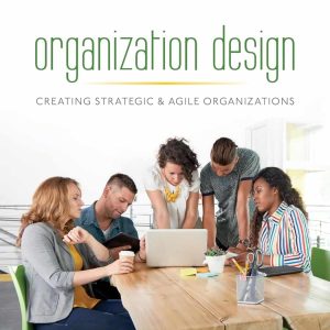Test Bank (Download Online) For Organization Design Creating Strategic & Agile Organizations By Anderson