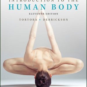 Introduction to the Human Body, 11th Edition by Gerard J. Tortora, Bryan H. Derrickson Testbank.