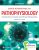 Davis Advantage for Pathophysiology Introductory Concepts and Clinical Perspectives 2nd Edition Theresa Capriotti Test bank.